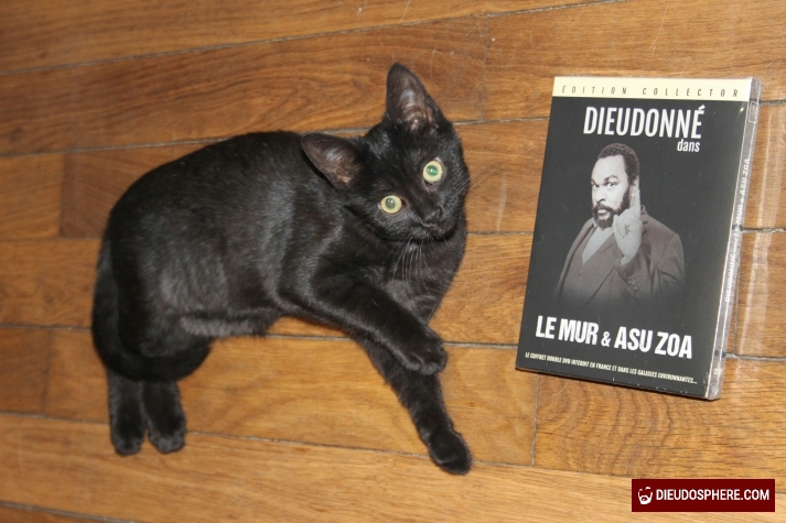 Quenelle Le Chat Quenelleur Dieudosphere Com